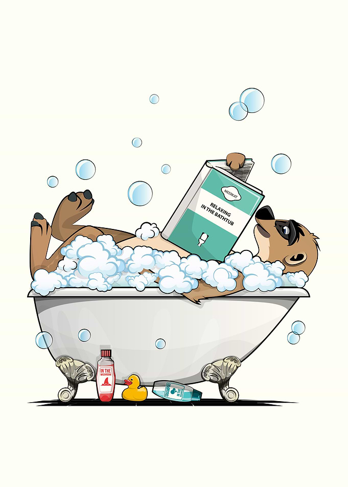 Meerkat in the Bath