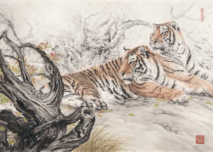 Japan Japanese Tiger