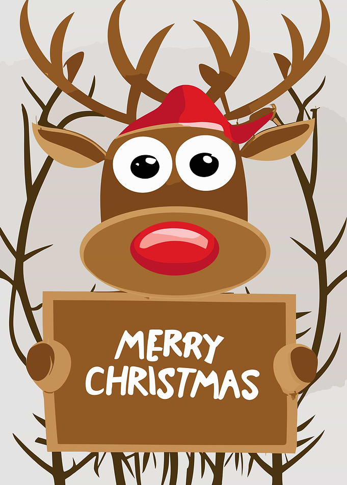 Funny Christmas Deco