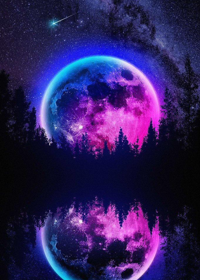 Space is Wild