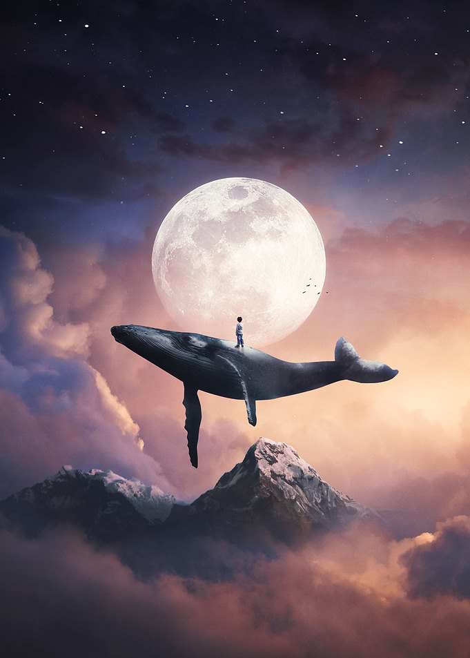 The dream traveler