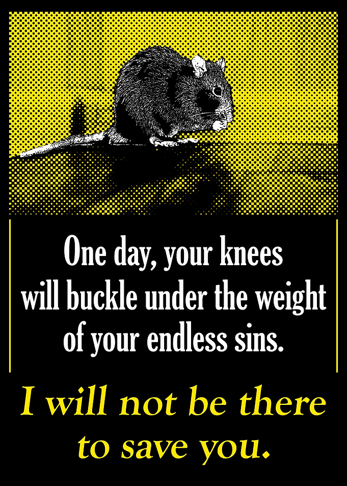 One Day Rat
