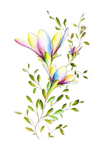 Unusual flower series 9