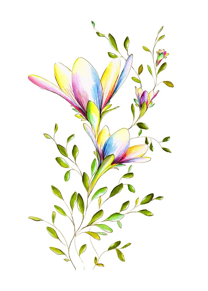 Unusual flower series 9