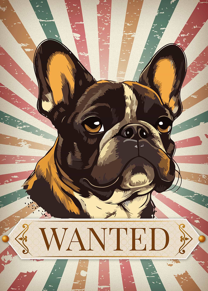 Bounty Dog