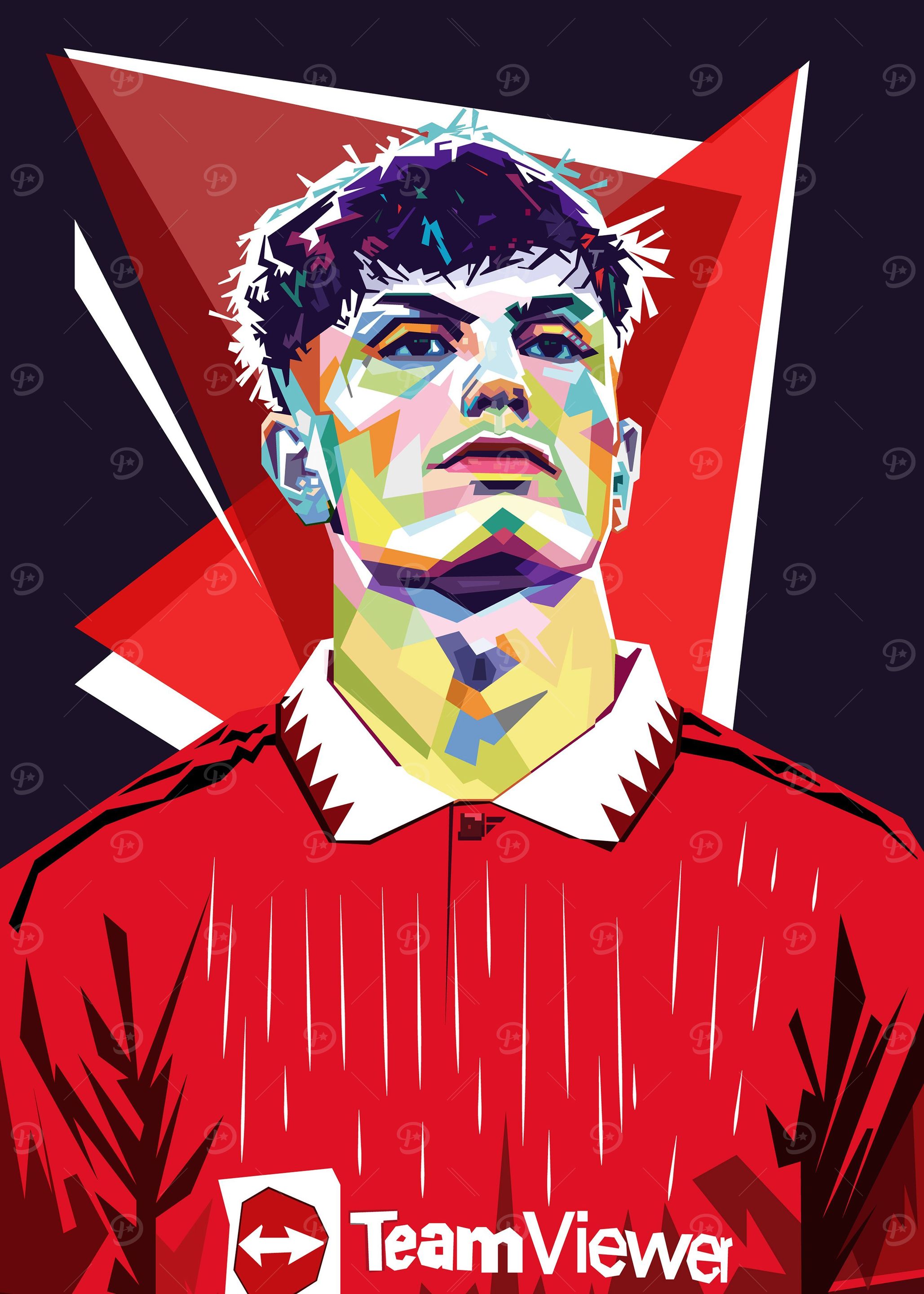 Garnacho pop Art
