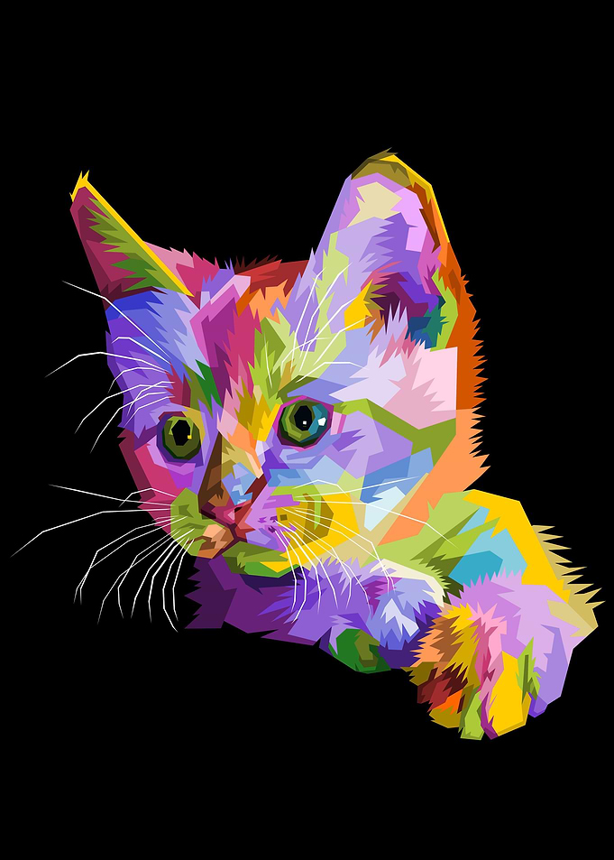 Animal Cute Kitten