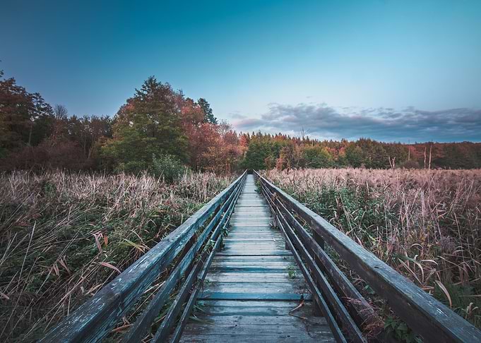 Wooden Pathway Landscape