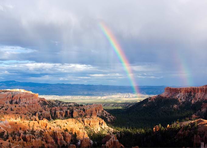 Rainbow Reflections