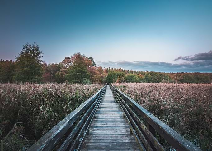 Wooden Walkway