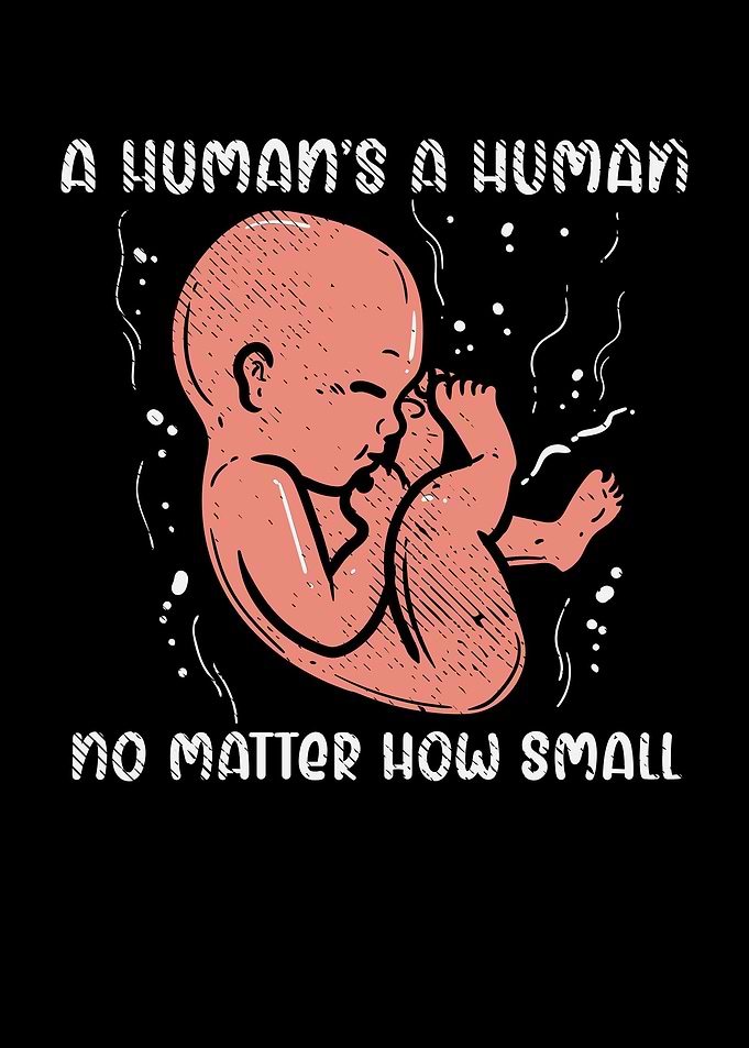A Humans A Human