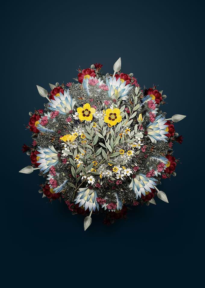 Rosa Persica Flower Wreath
