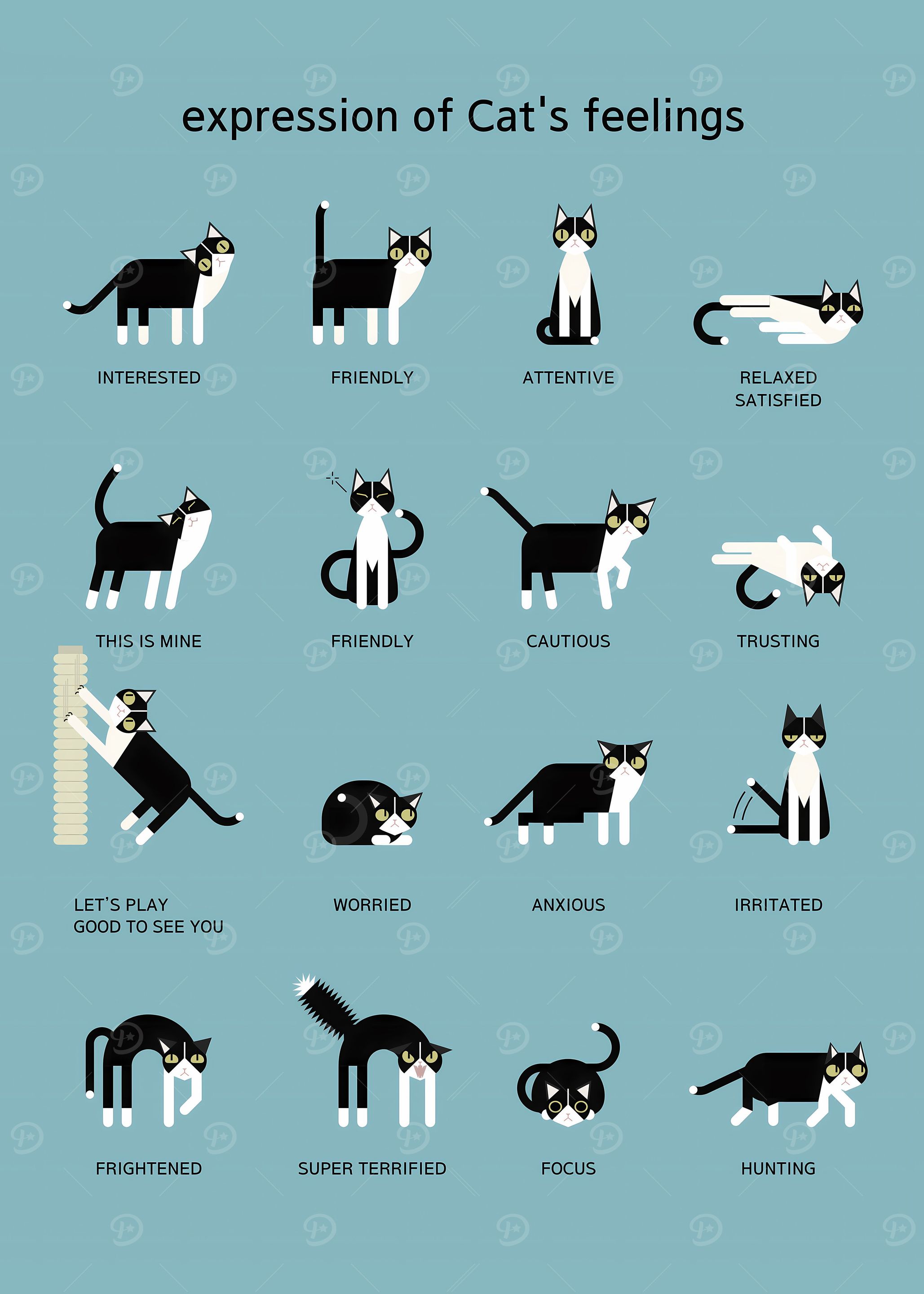 Cute Cat's Feelings ART