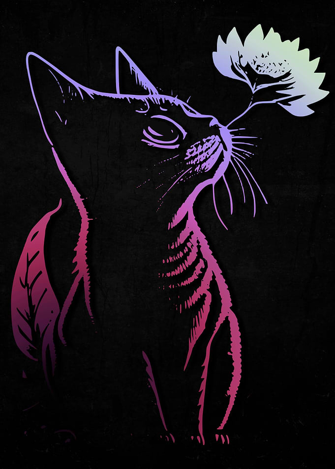 Flowers Cats