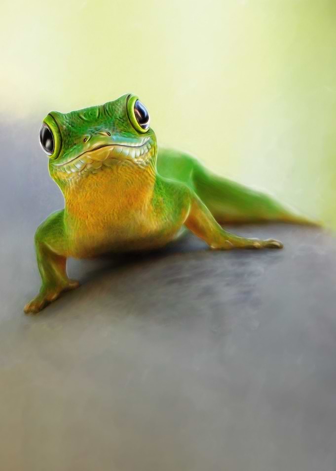 Mister Gecko