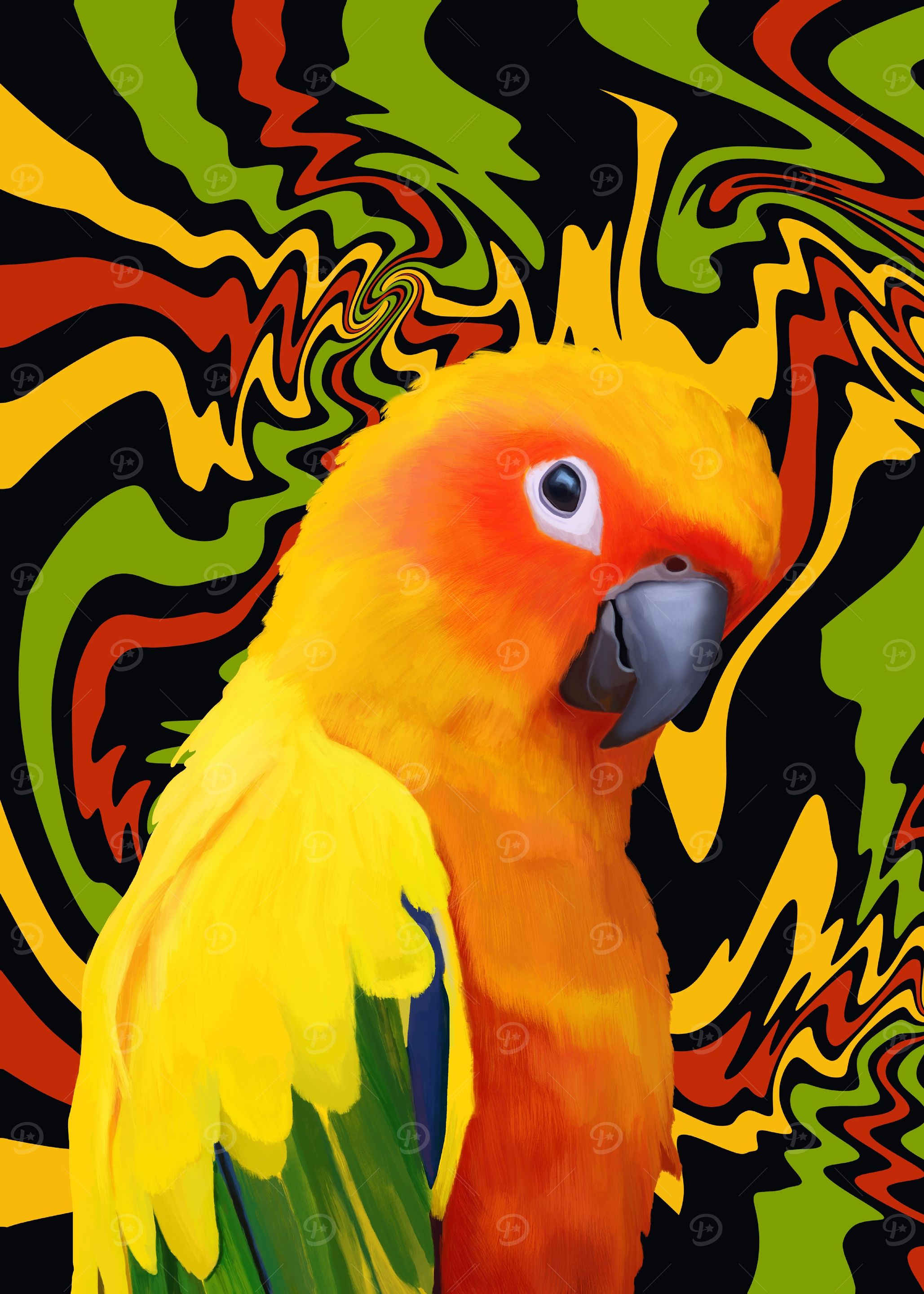Colorful Sun Conure Parrot