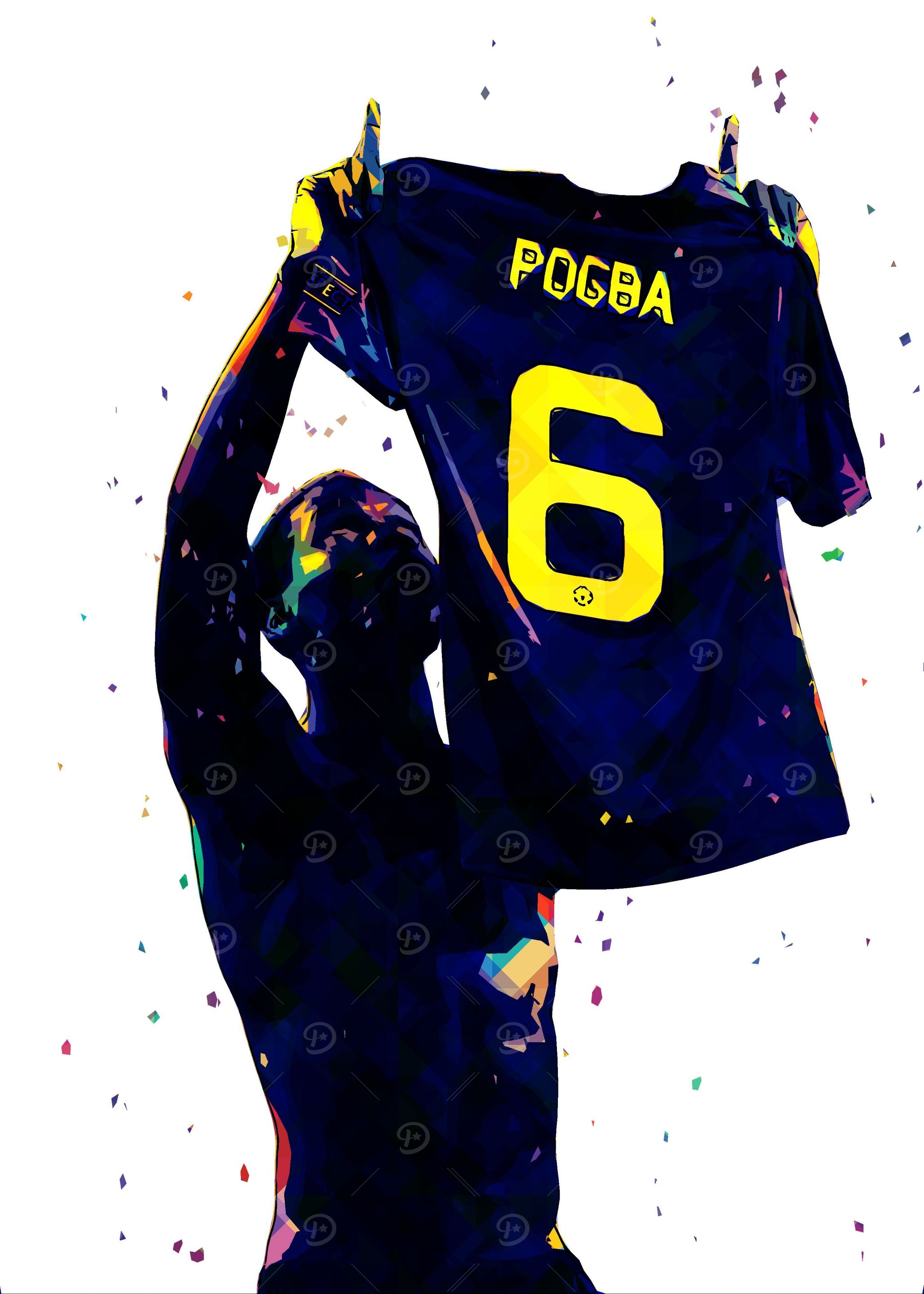 Paul Pogba France