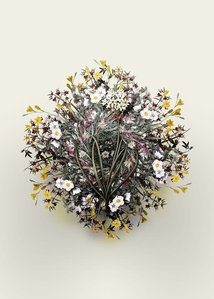 Arabian Starflower Wreath
