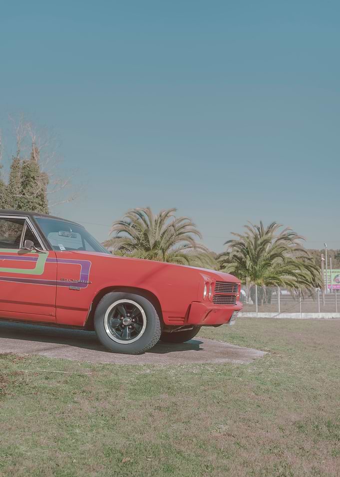 Parked in the palmtrees