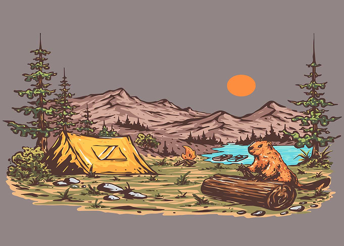 Camp in the nature