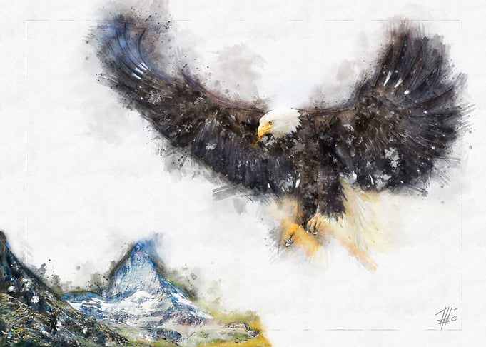 Flying Eagle