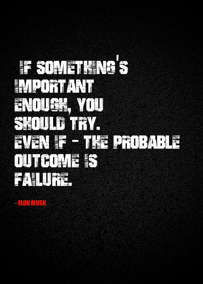 Elon Musk quotes