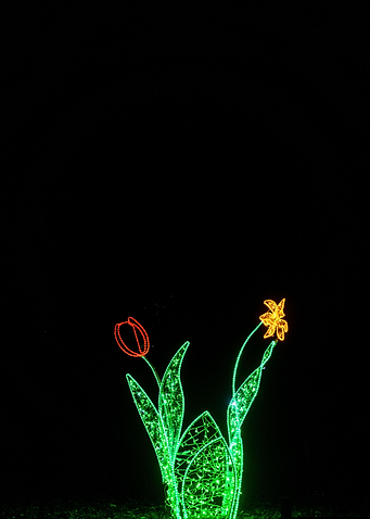 Light Flower in dark