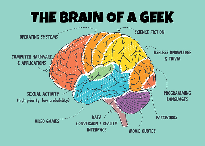 The Brain Of A Geek
