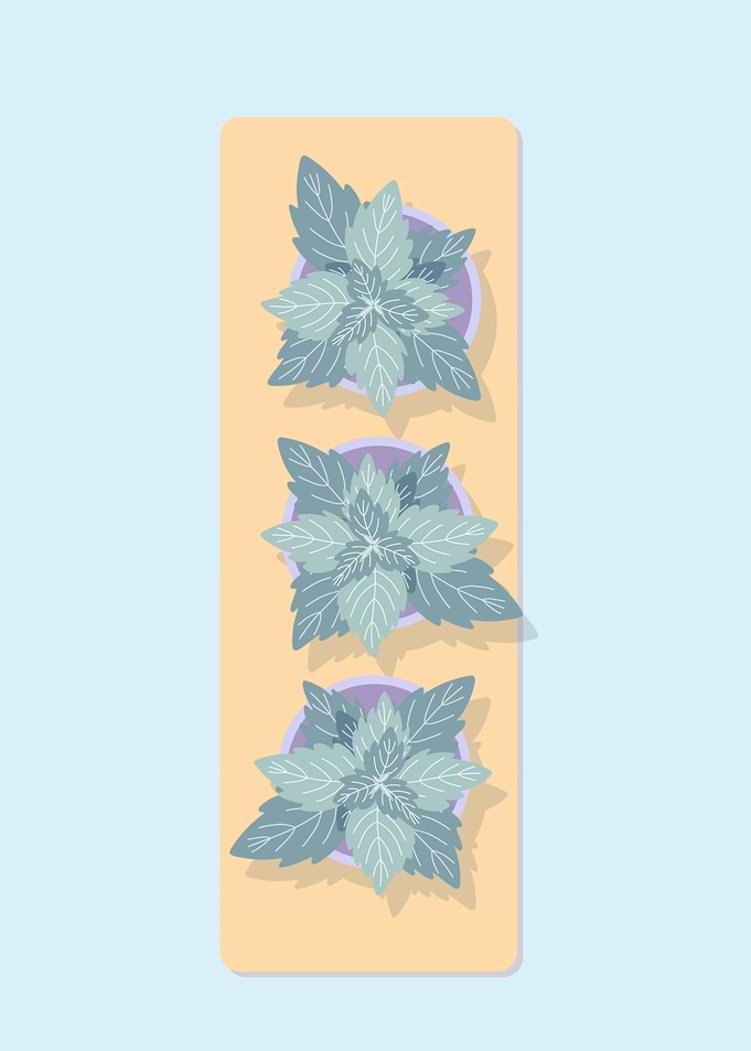 Mint