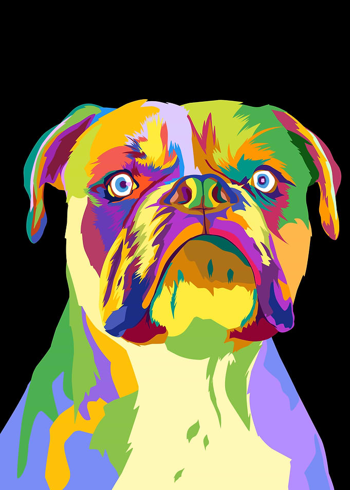 Bulldog pop art