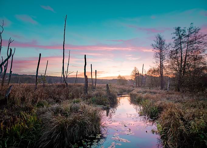 Moody Marsh Sunrise