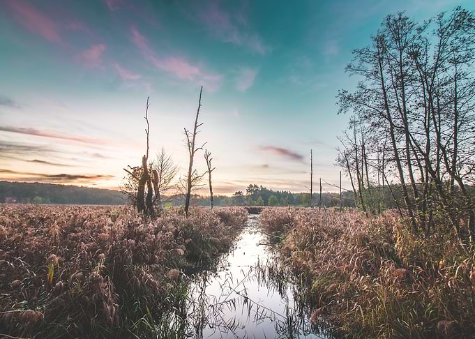 Moody Marsh Sunrise