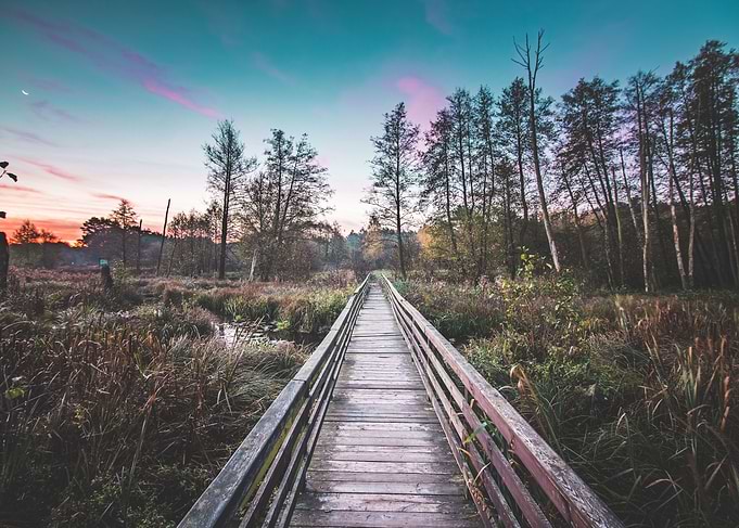 Moody Pathway Landscape