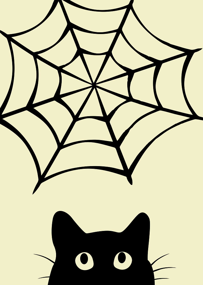 Cats and Cobwebs