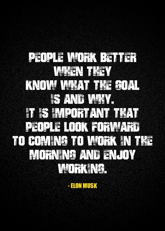 Elon Musk quotes