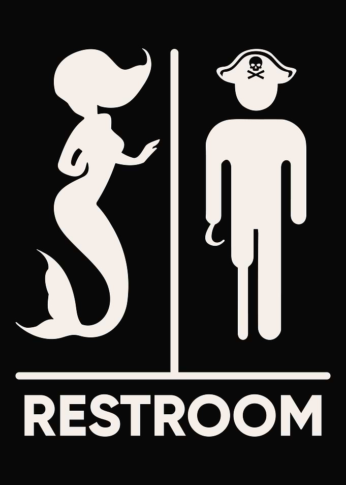 Funny Mermaid Pirate Decor