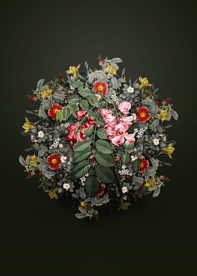 Robinier Rose Bloom Wreath