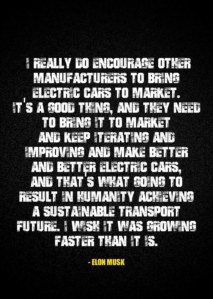 Elon Musk quotes