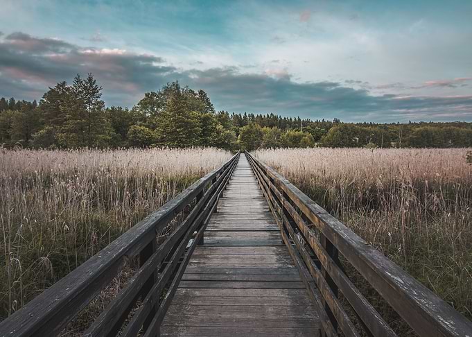 Wooden Pathway Sunset