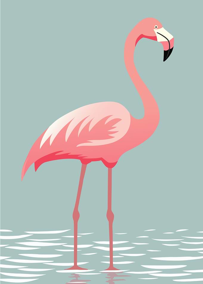 Elegant Flamingo Art