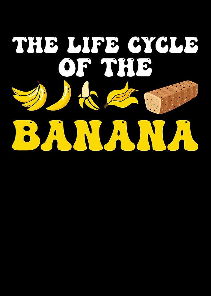 The Life Cycle Of The