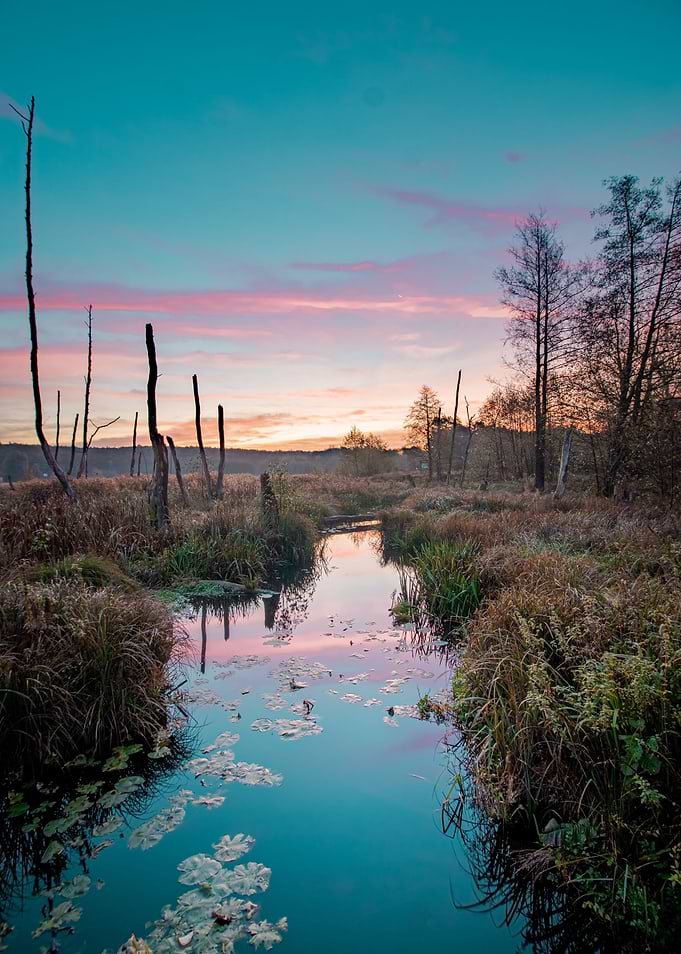 Moody Marsh Sunrise