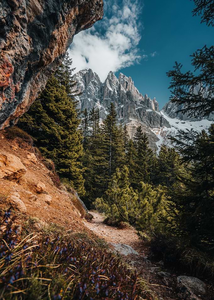 Mountains View