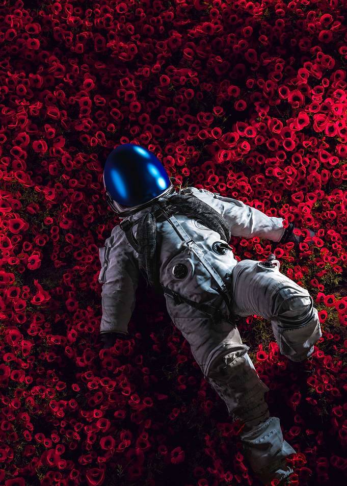 Bloom