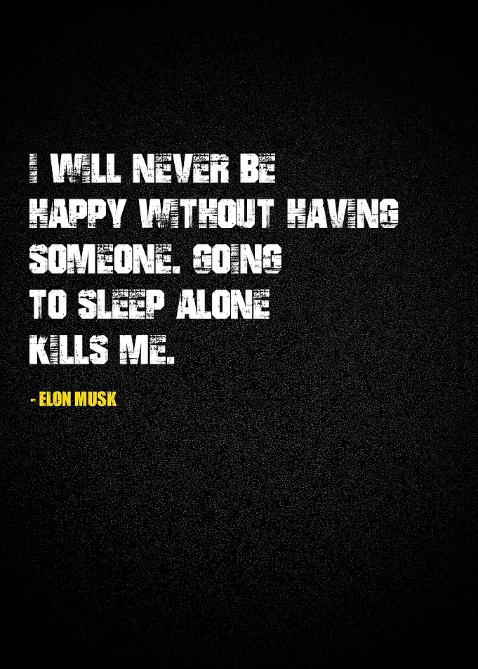 Elon Musk quotes