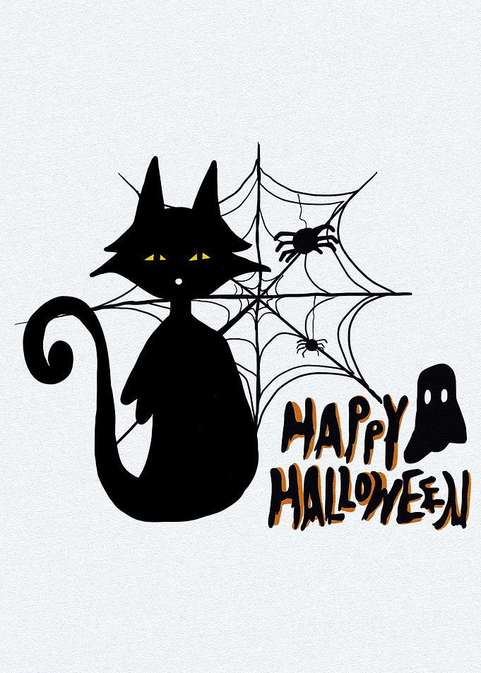 Black Ghost Cat