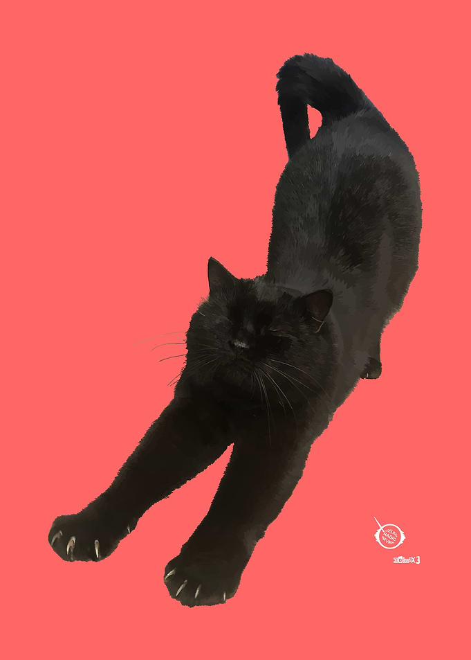 Lazy Cat