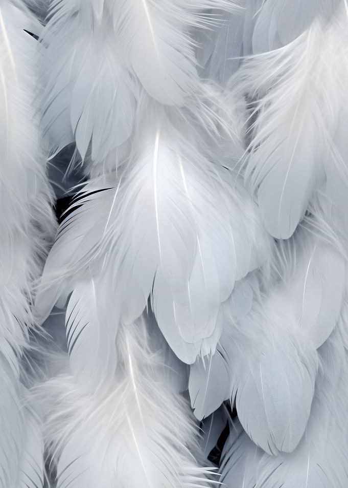 Vintage FeatherArt No7