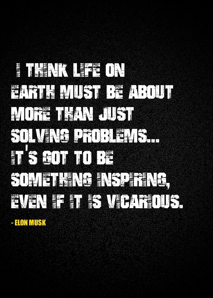 Elon Musk quotes