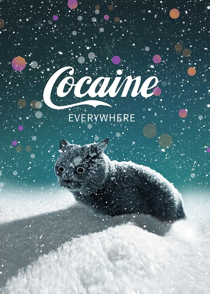 Cocaine Everywhere Cat